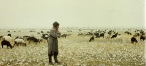 cropped-1987-uzbek-shepherd-w-sheep3.jpg